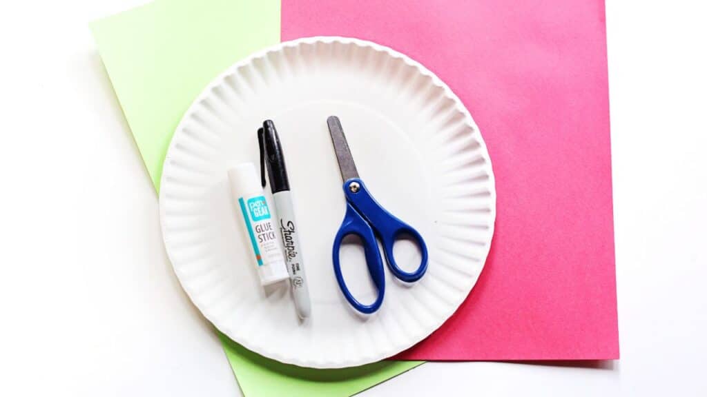 watermelon paper plate supplies.