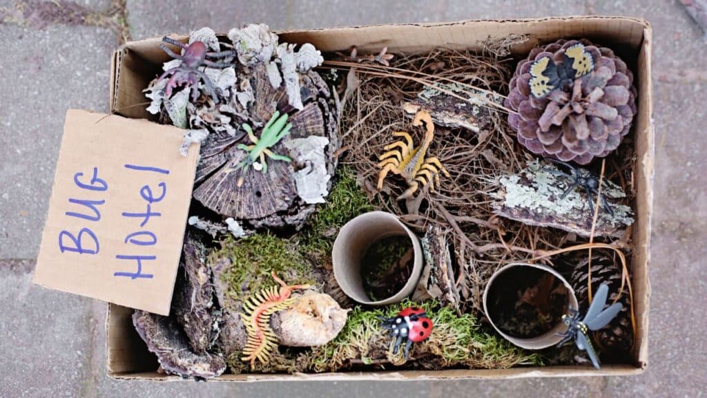 Bug hotel sensory bin.