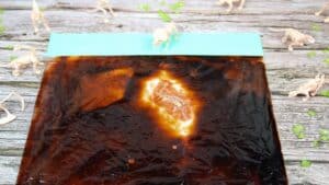 dinosaur skeleton sensory bag