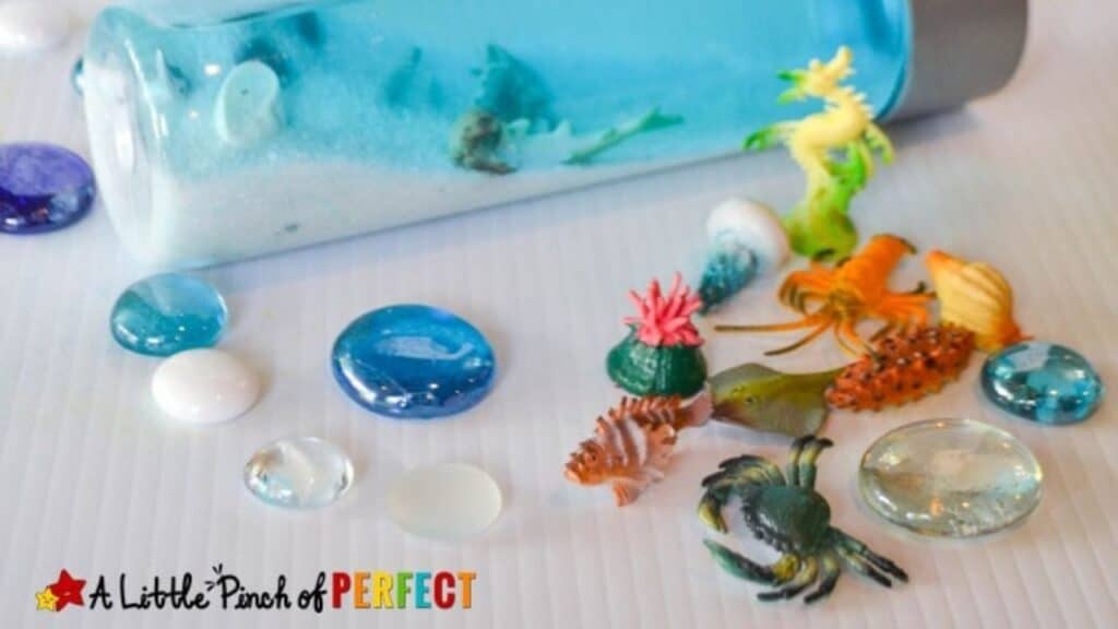 Mini aquarium in a bottle.