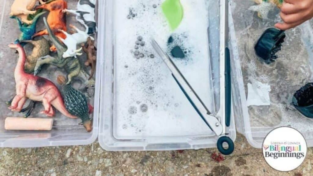 Sensory animal washing station.