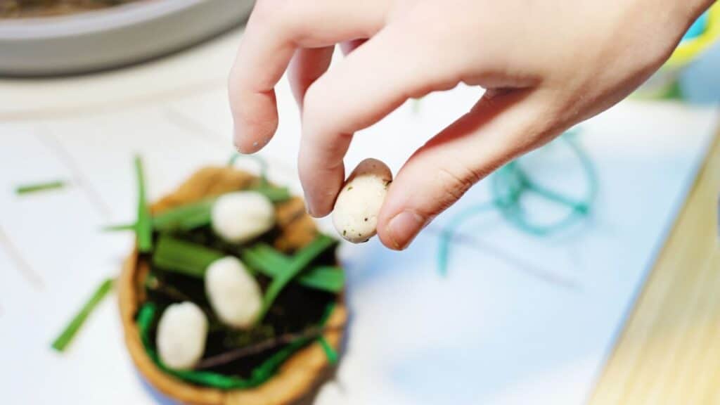 build a bird nest eggs.