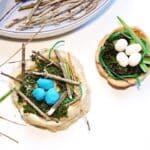 Easy Build a Bird Nest Activity for Kids Who Love Nature and Play-dough