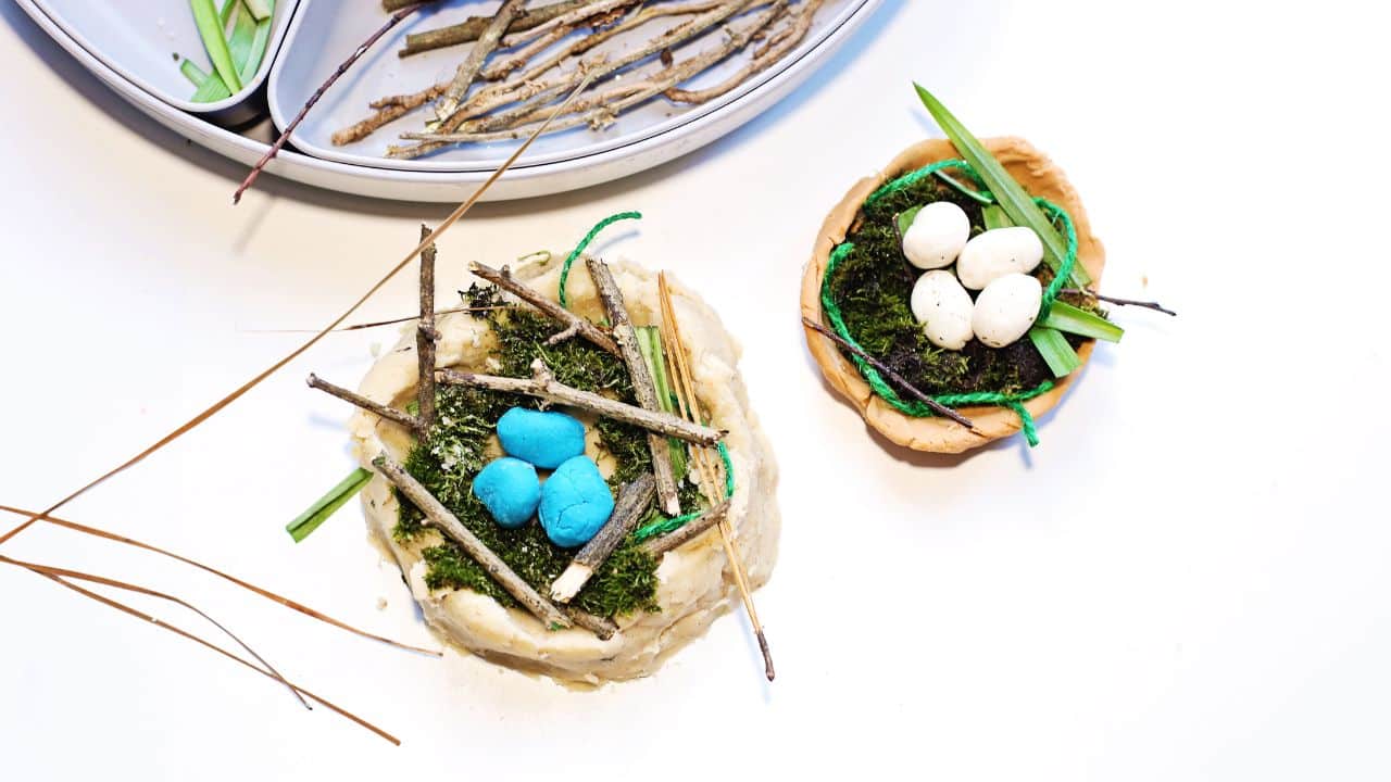 Easy Build a Bird Nest Activity for Kids Who Love Nature and Play-dough ...