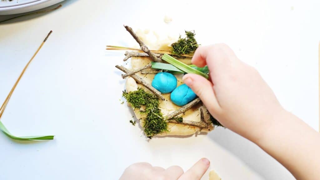 build a bird nest playing.