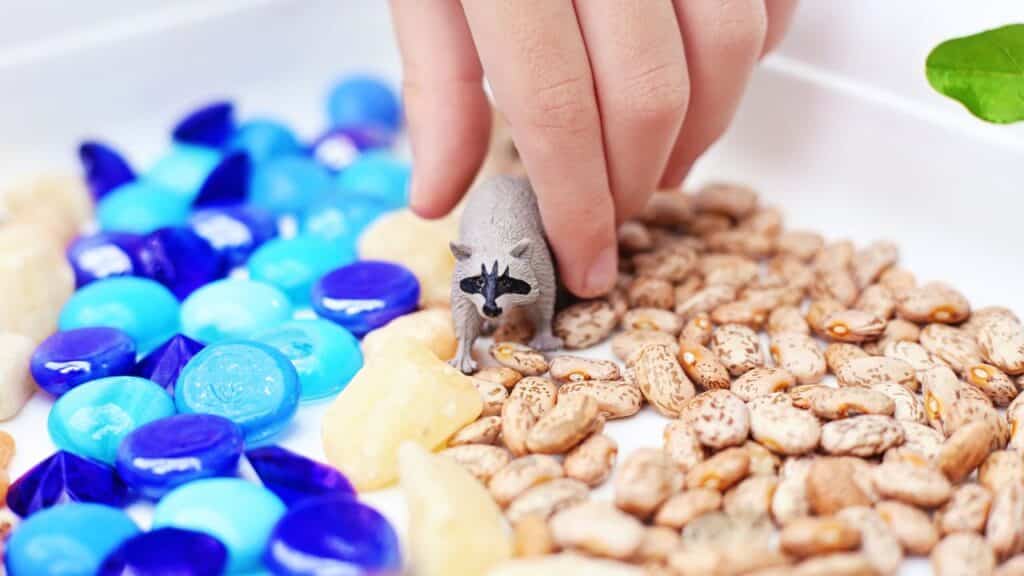 Big Creek Sensory Bin