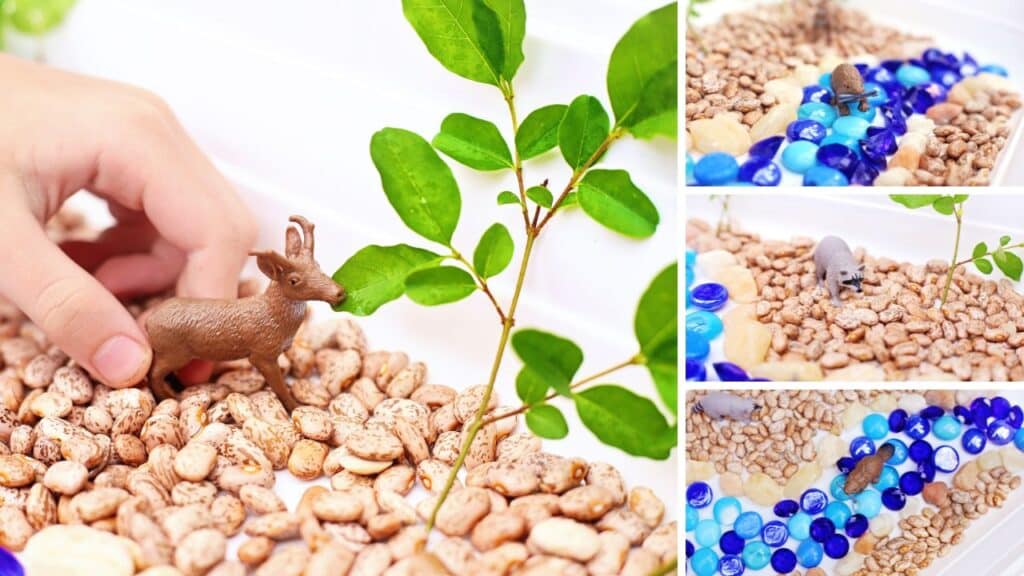 creek sensory bin playing.