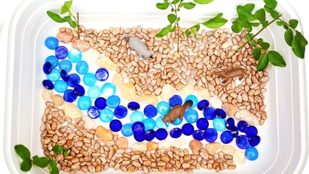 creek sensory bin final.