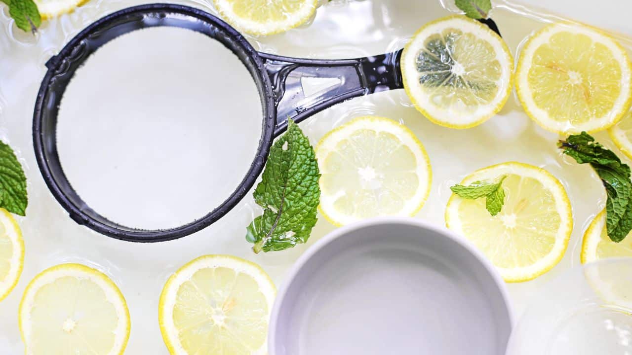 lemon mint sensory bin final