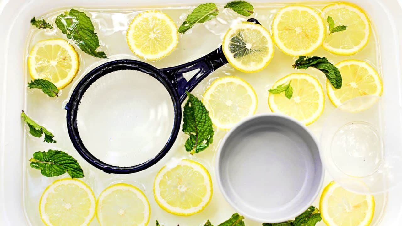 lemon mint sensory bin overall