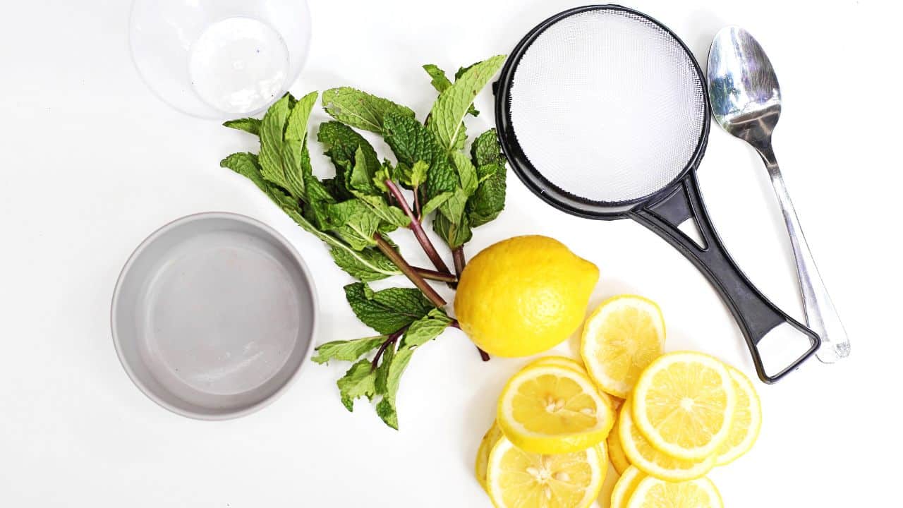 lemon mint sensory bin supplies.