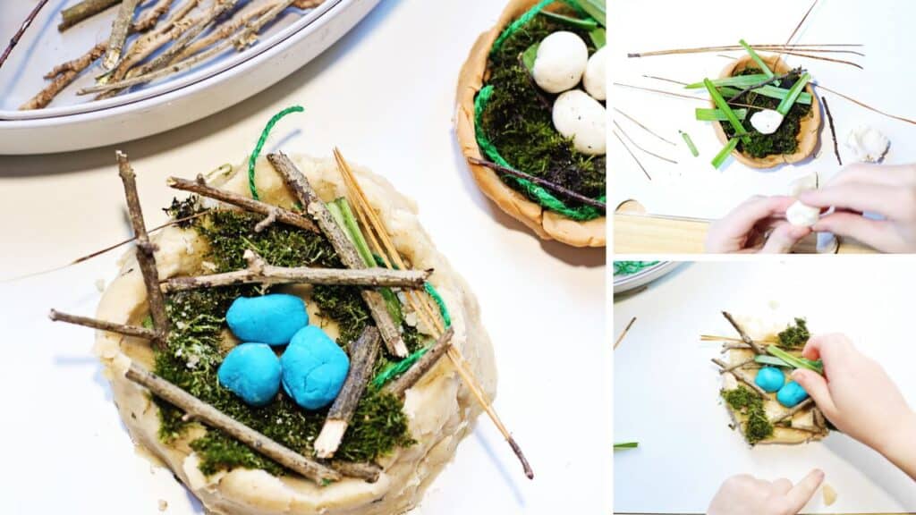 Build a bird nest playing.