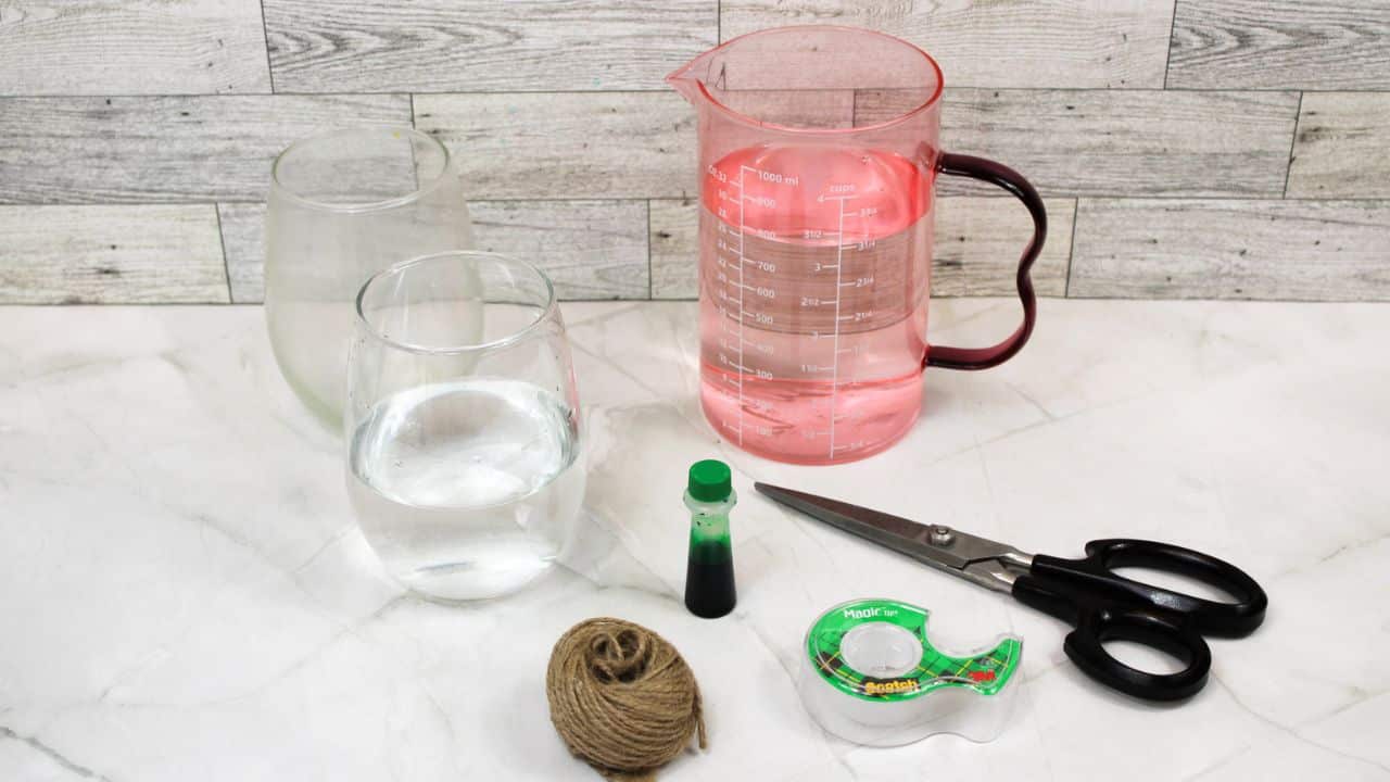 walking water experiment supplies.