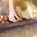 A Creekside water STEM Adventure for Kids