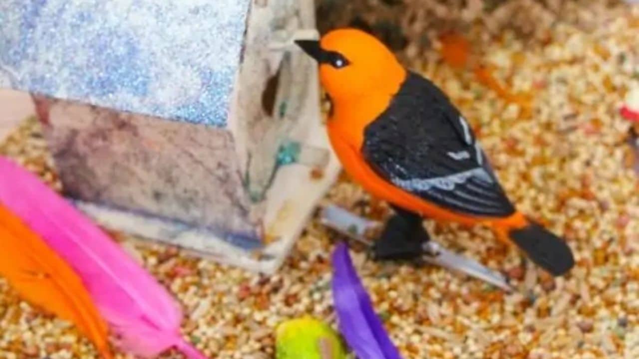 Bird Sensory Bin.