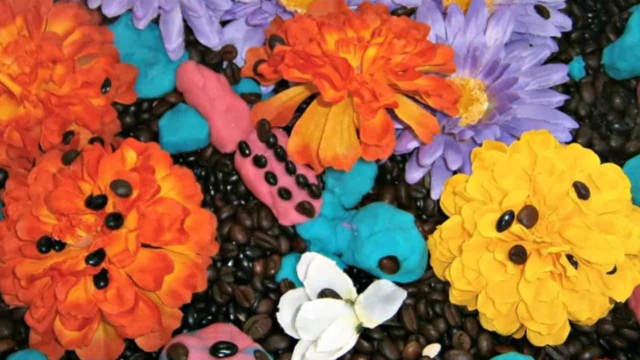 Coffee and Flower Sensory Bin.