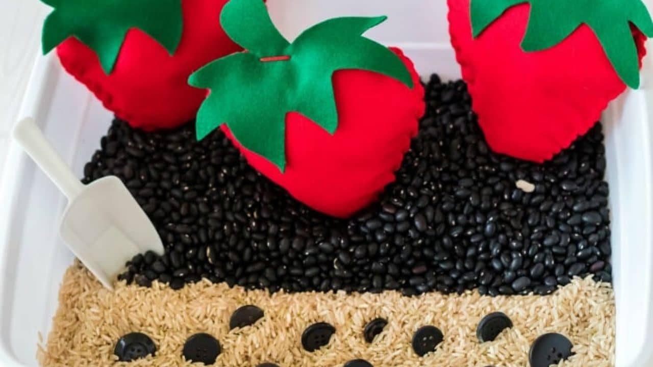 Strawberry Math Sensory Bin.