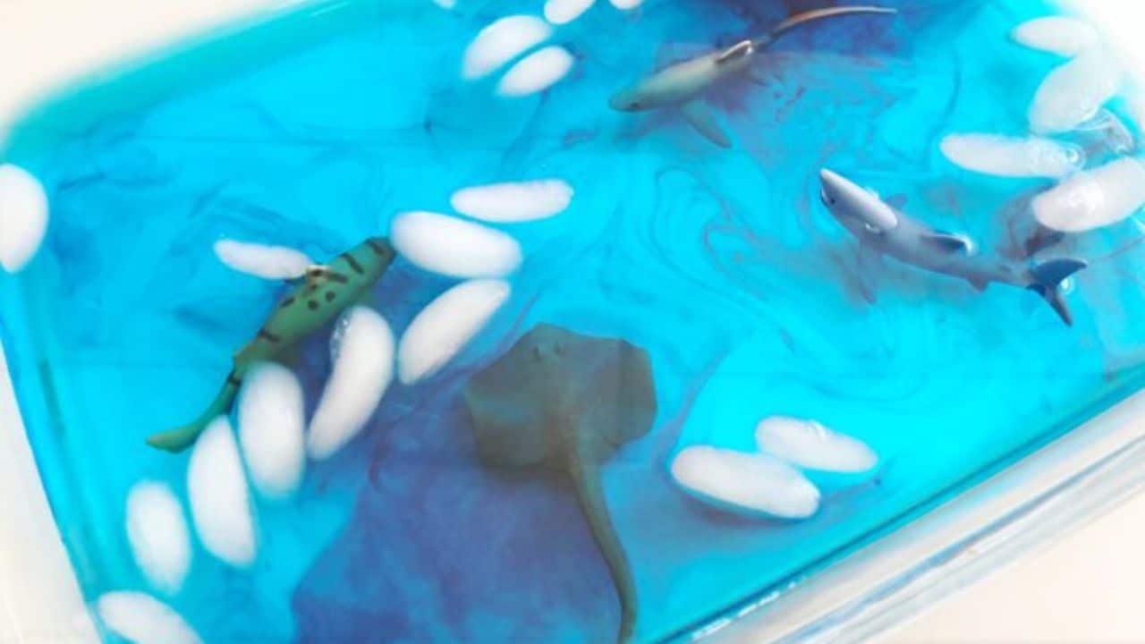 ocean currents activity.