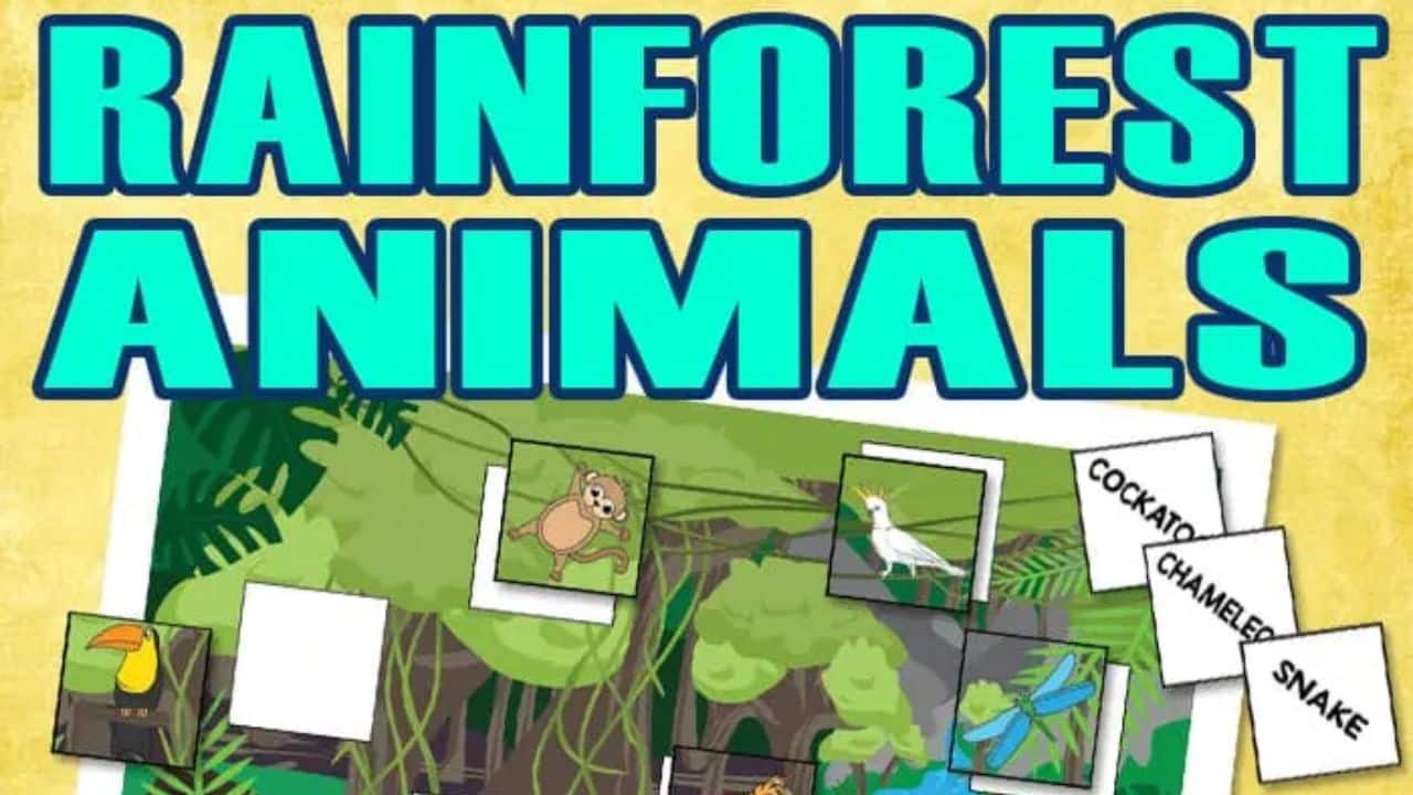 printable rainforest animals.